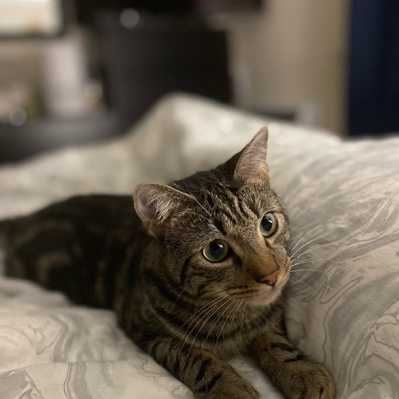 Meet your Posher, Karina - Picture 4 of 5